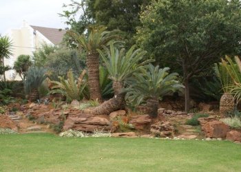 Gardening & Landscaping