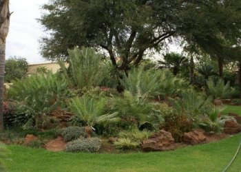 Gardening & Landscaping