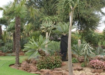 Gardening & Landscaping