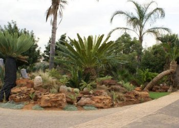 Gardening & Landscaping