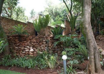 Gardening & Landscaping